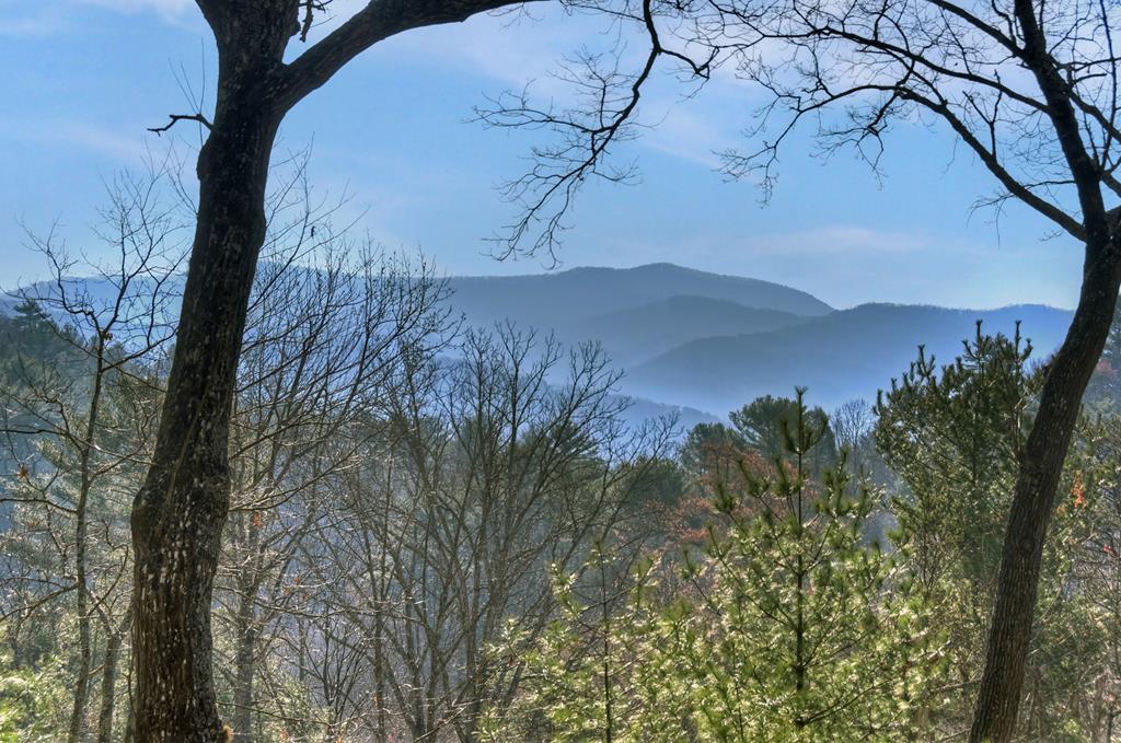 1183 Bear Paw Trail Blue Ridge, GA 30513 - Photo 66 of 73 USFS Views
