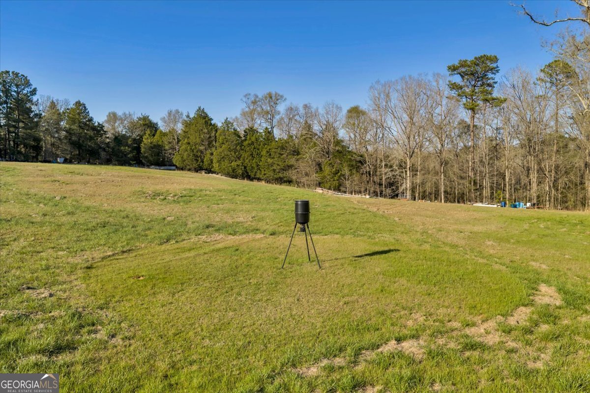 1730 Stallings Road Haddock, GA 31033 - Photo 14 of 28 a view of an outdoor space and a yard