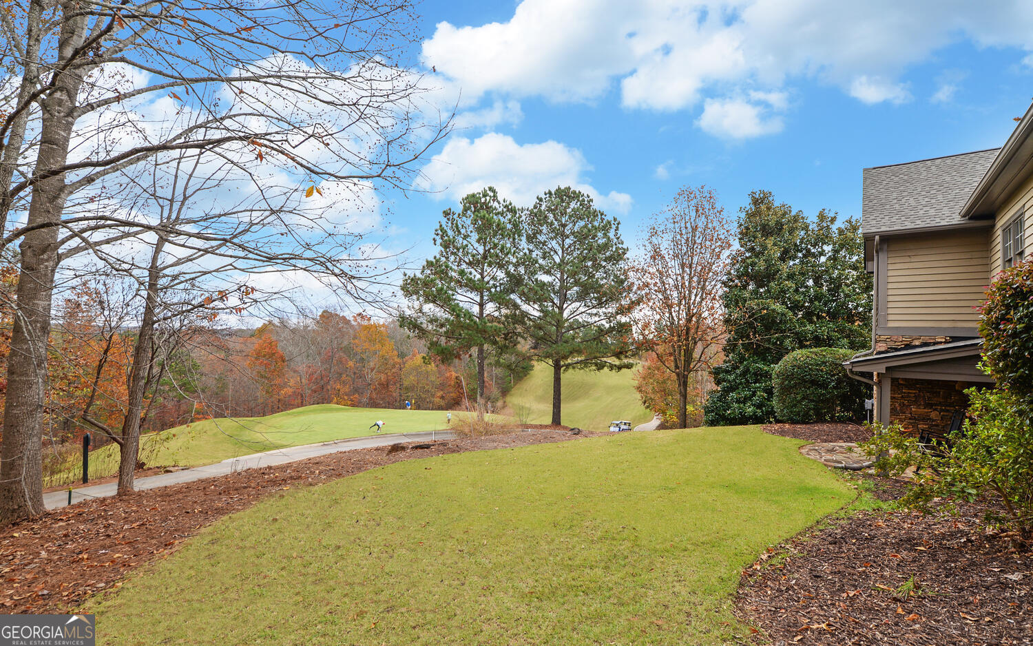 29 Cottage Lane Toccoa, GA 30577 - Photo 43 of 49 a view of backyard of house with green space
