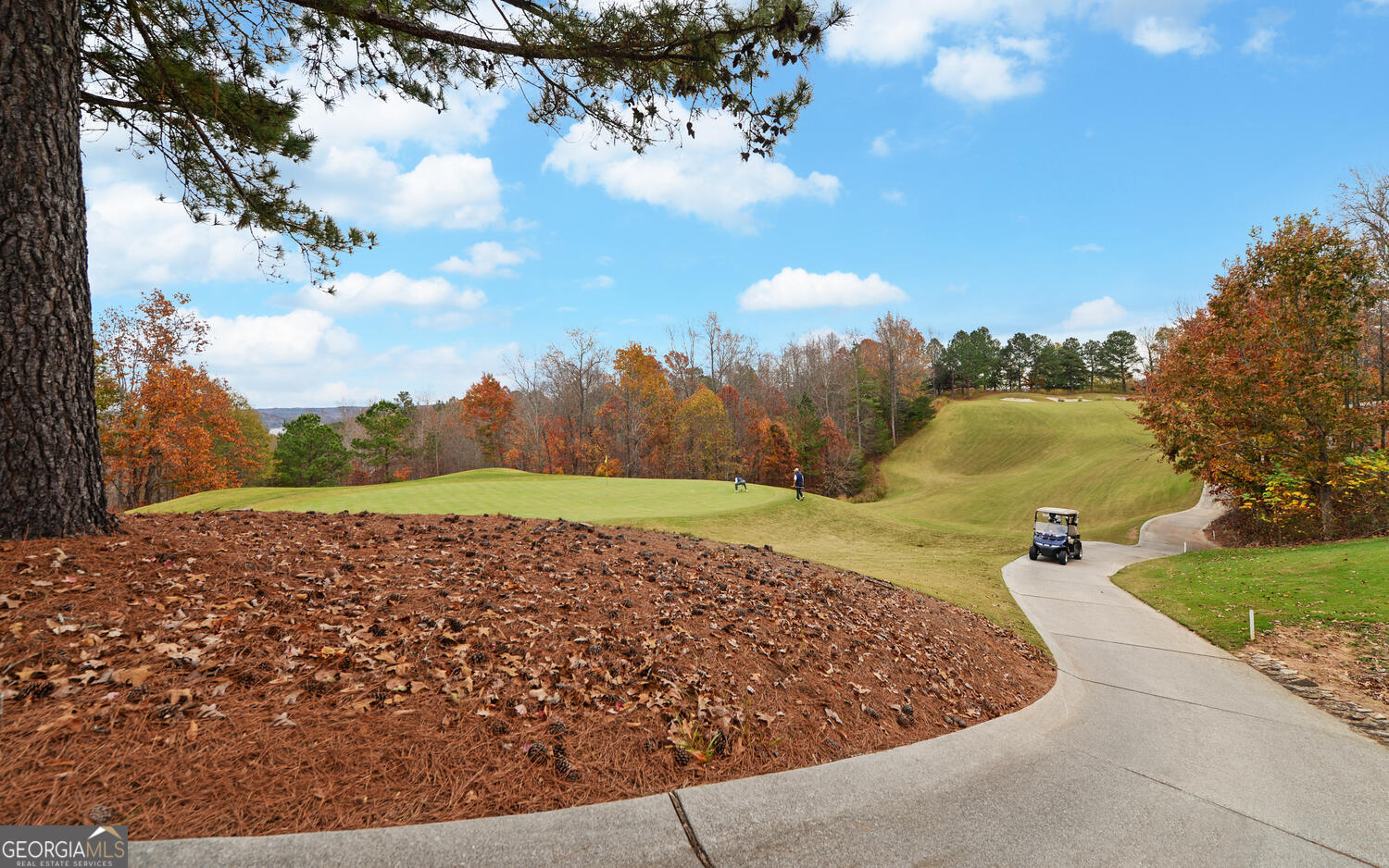 29 Cottage Lane Toccoa, GA 30577 - Photo 46 of 49