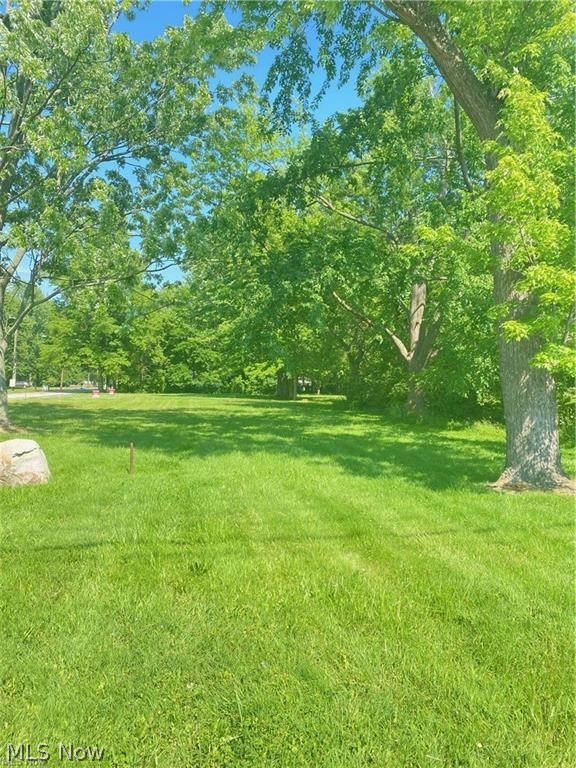3 Adkins Road Willoughby, OH 44094 - Photo 2 of 3 View of yard