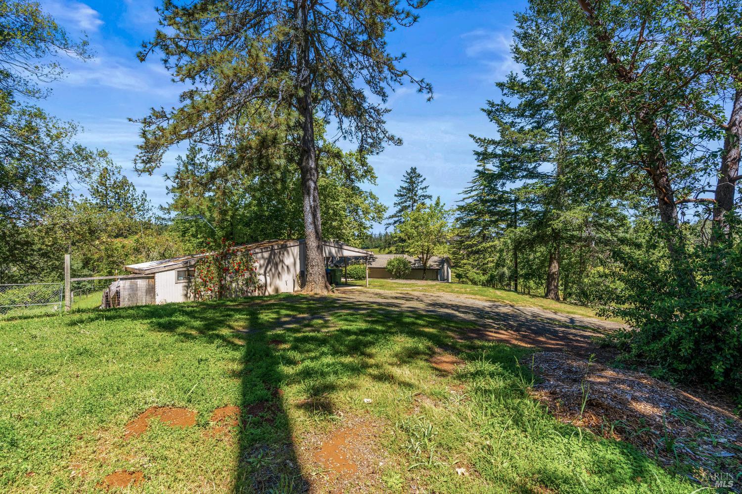 625-629 Hill Road Angwin, CA 94508 - Photo 57 of 64 a view of yard with green space