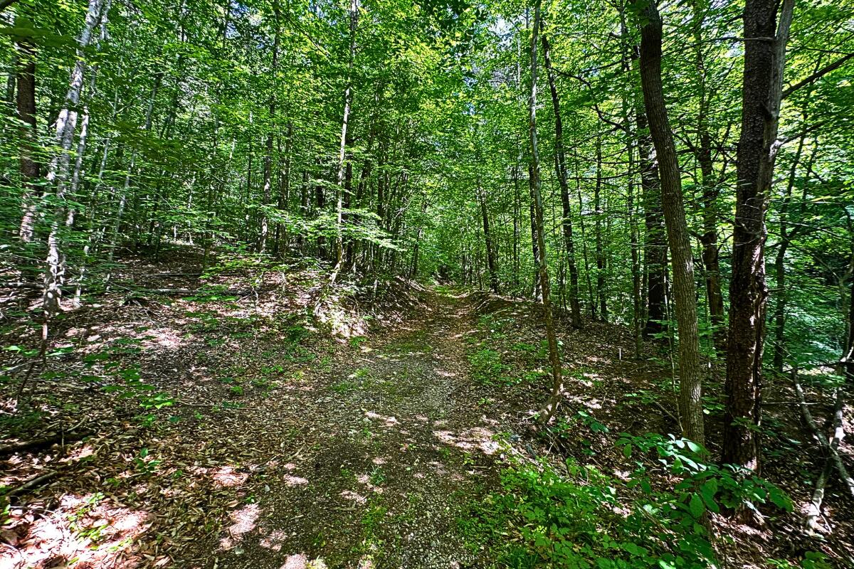 3994 Yates Road Shawsville, VA 24162 - Photo 24 of 40 land for sale in shawsville va 4