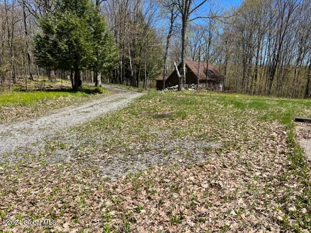 426 Rossman Valley Road Summit, NY 12149 - Photo 34 of 47 IMG_2882