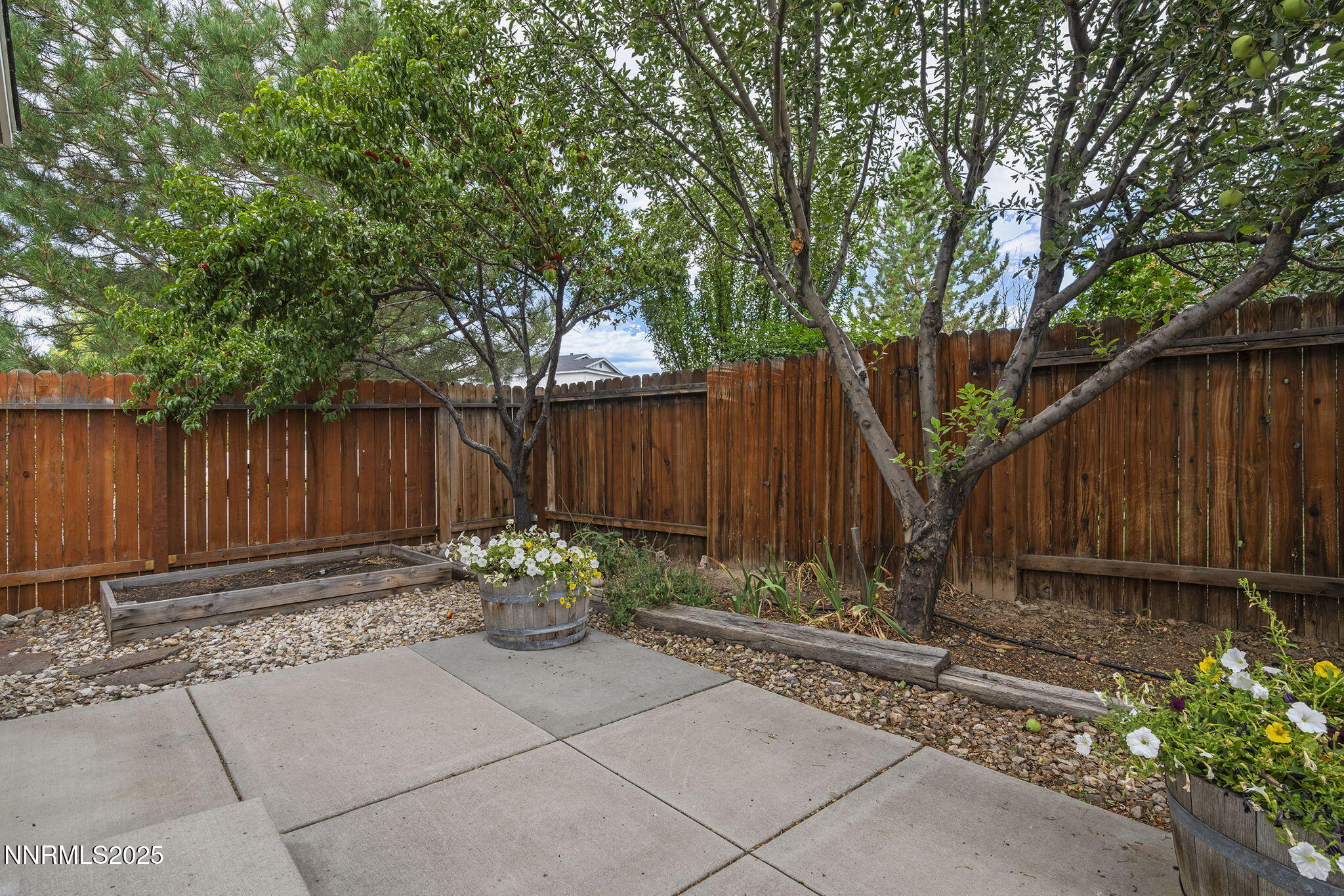 5897 September Circle Reno, NV 89523 - Photo 23 of 24 a backyard of a house with green landscape and trees
