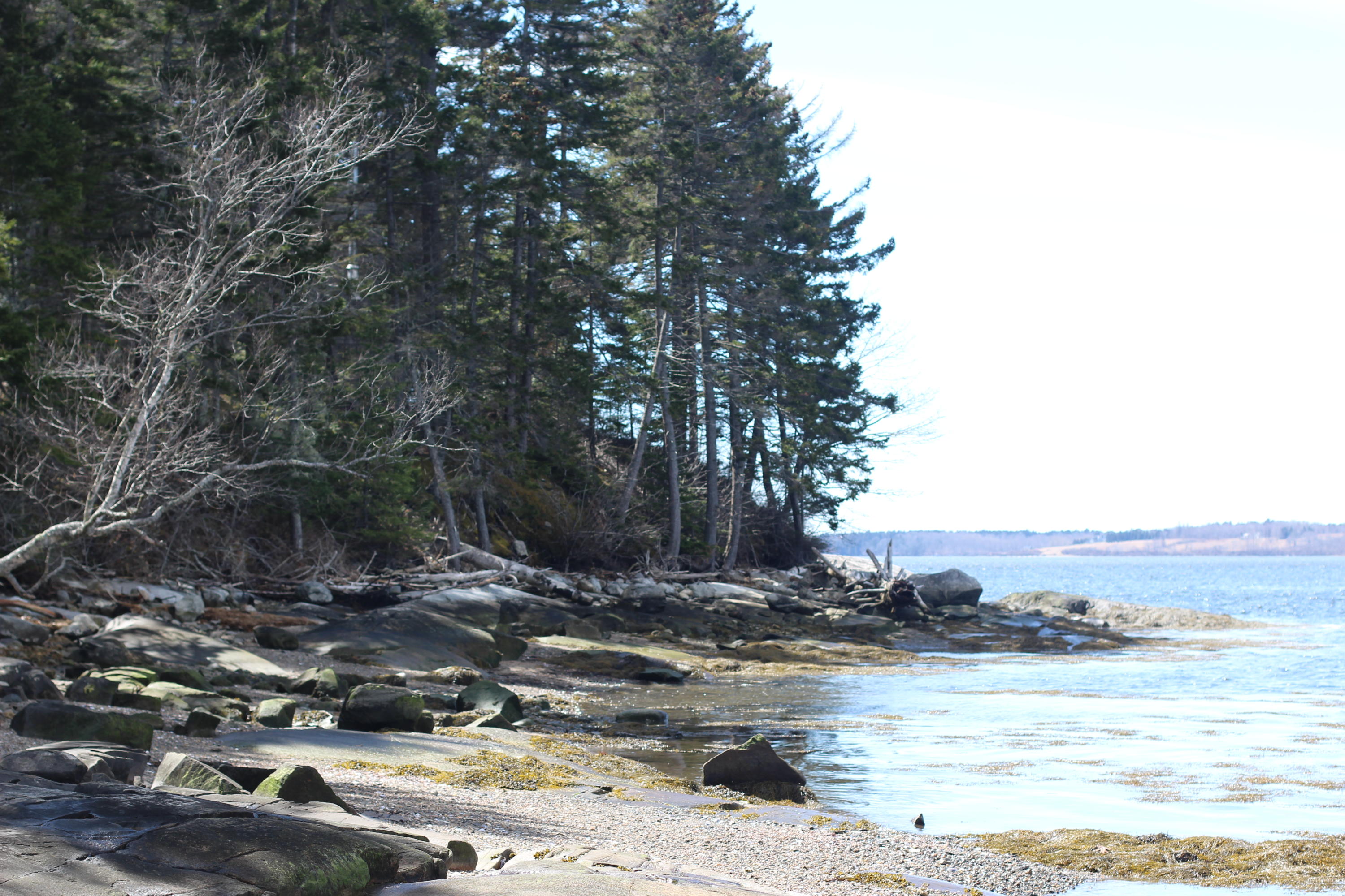 M227-l5 Snows Point Road Tenants Harbor, ME 04860 - Photo 1 of 11 IMG_2172