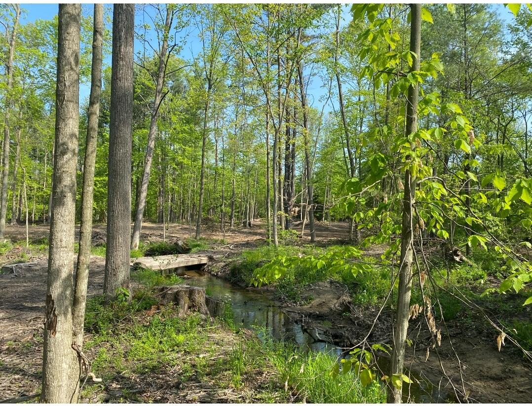 D South Behler Road Ravenna, MI 49451 - Photo 15 of 15 Screenshot_20220520-230504_DuckDuckGo