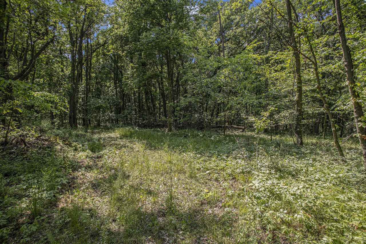 23 23 Mile Road Battle Creek, MI 49014 - Photo 18 of 19
