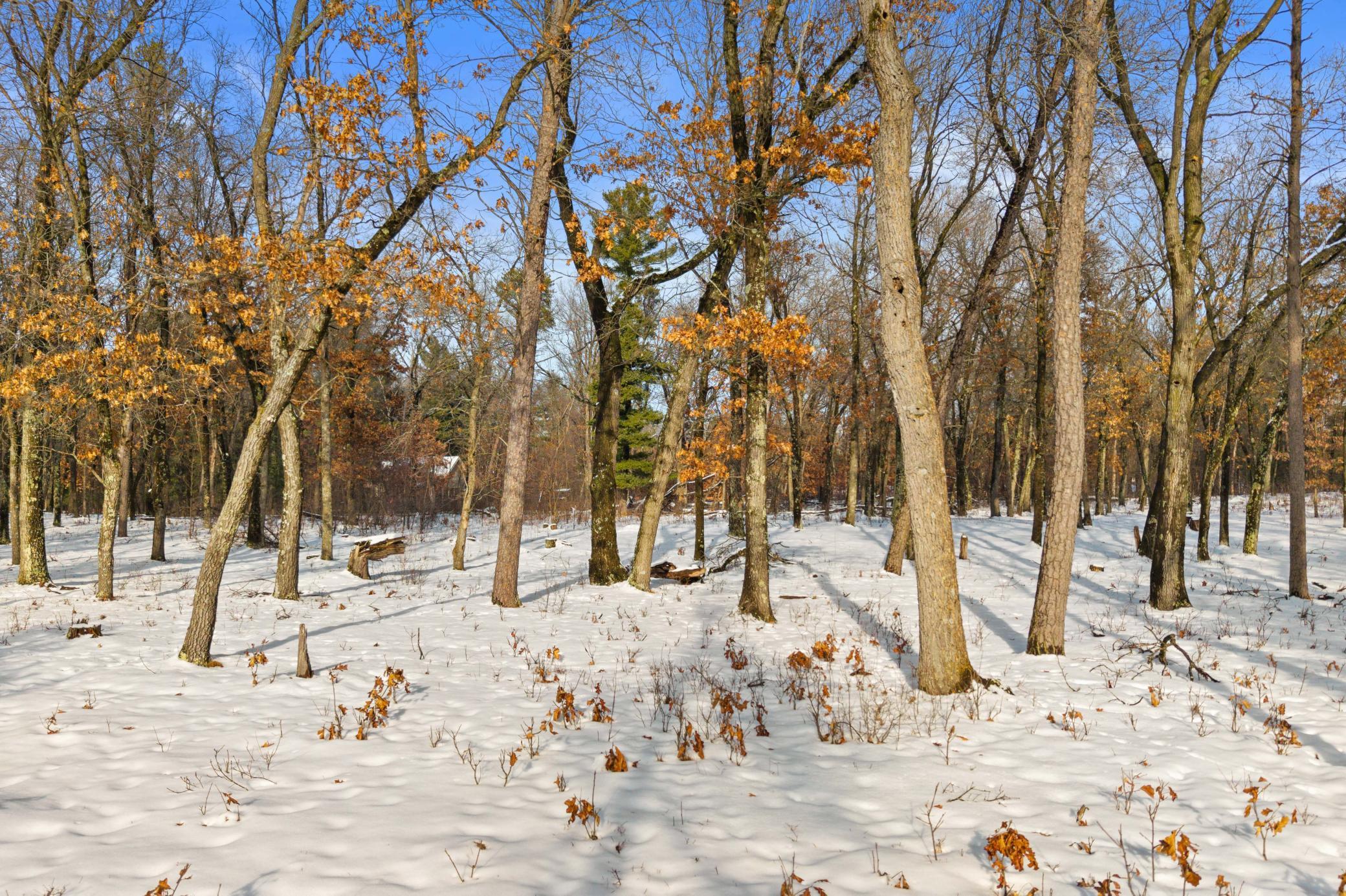 343 Timber Trail Nekoosa, WI 54457 - Photo 5 of 12