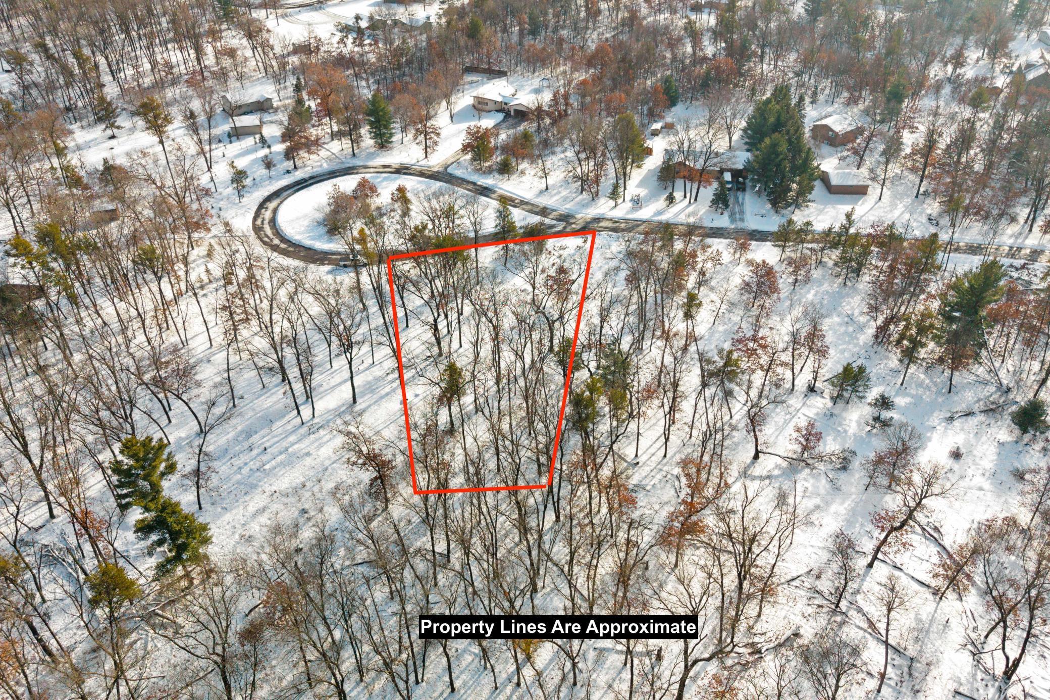 343 Timber Trail Nekoosa, WI 54457 - Photo 6 of 12