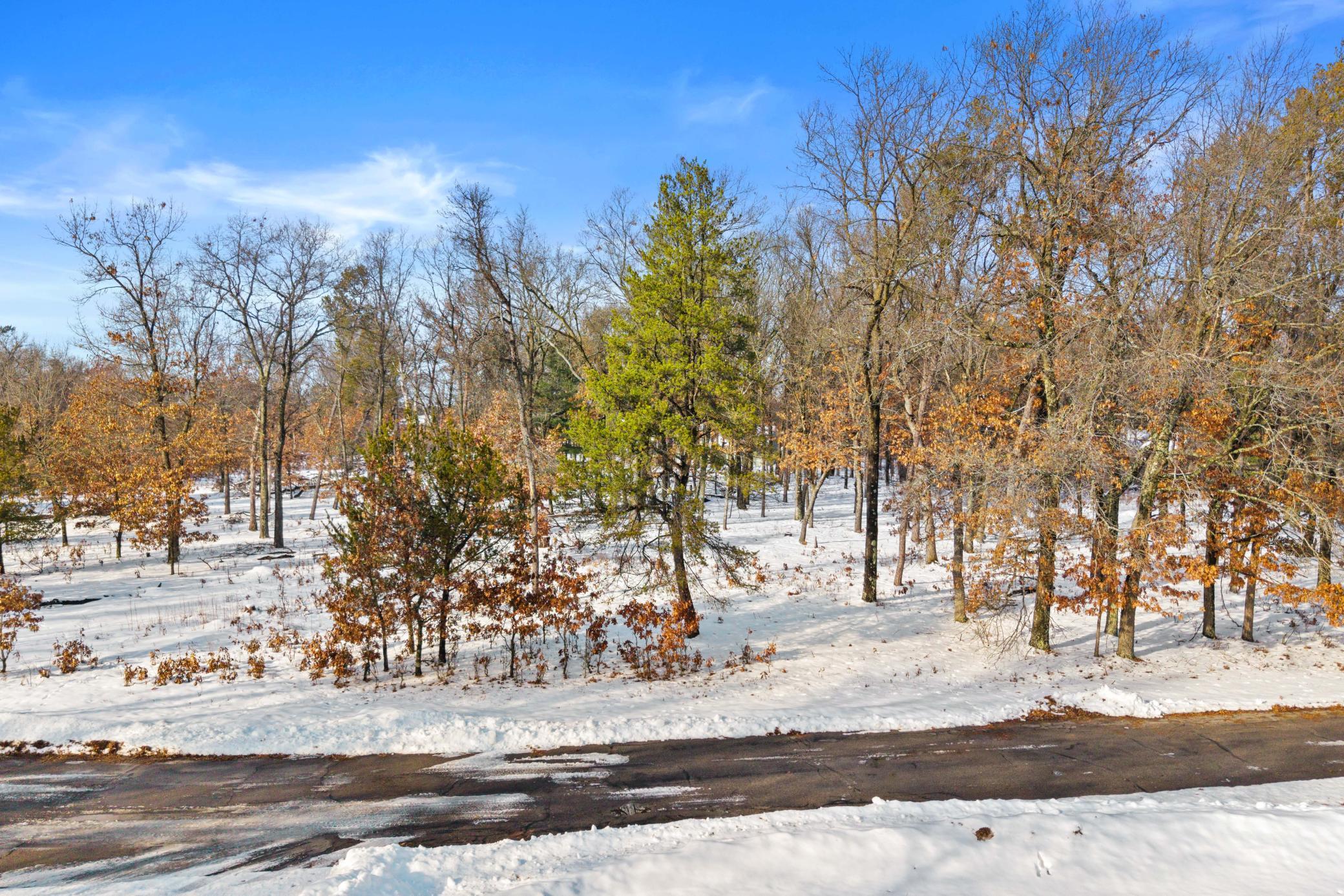 343 Timber Trail Nekoosa, WI 54457 - Photo 8 of 12