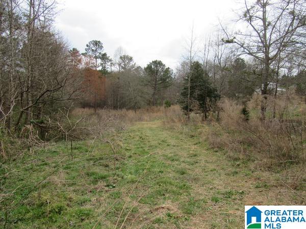 844 County Road 313 Delta, AL 36258 - Photo 21 of 35