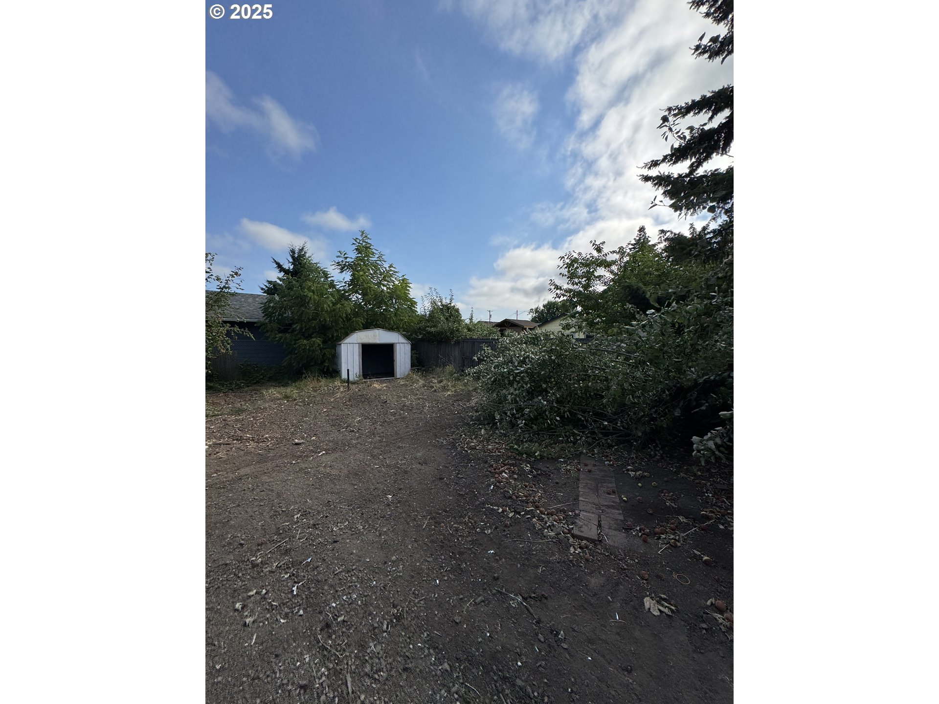 255 36th Street Springfield, OR 97478 - Photo 5 of 11 a view of a yard