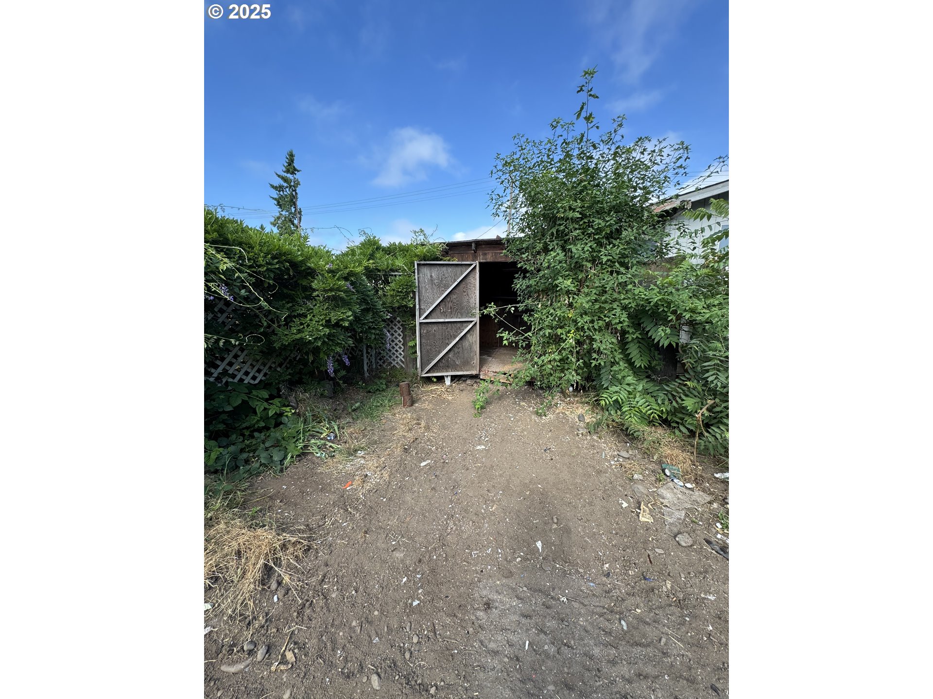 255 36th Street Springfield, OR 97478 - Photo 7 of 11 a view of a backyard with potted plants