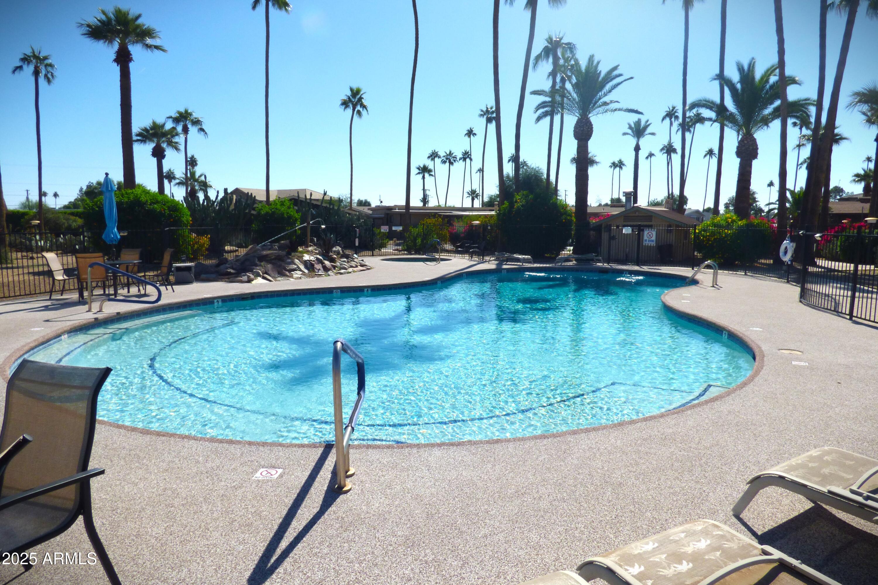 6700 East Thomas Road, Unit 34 Scottsdale, AZ 85251 - Photo 46 of 69 a view of a swimming pool with a chair and potted plants