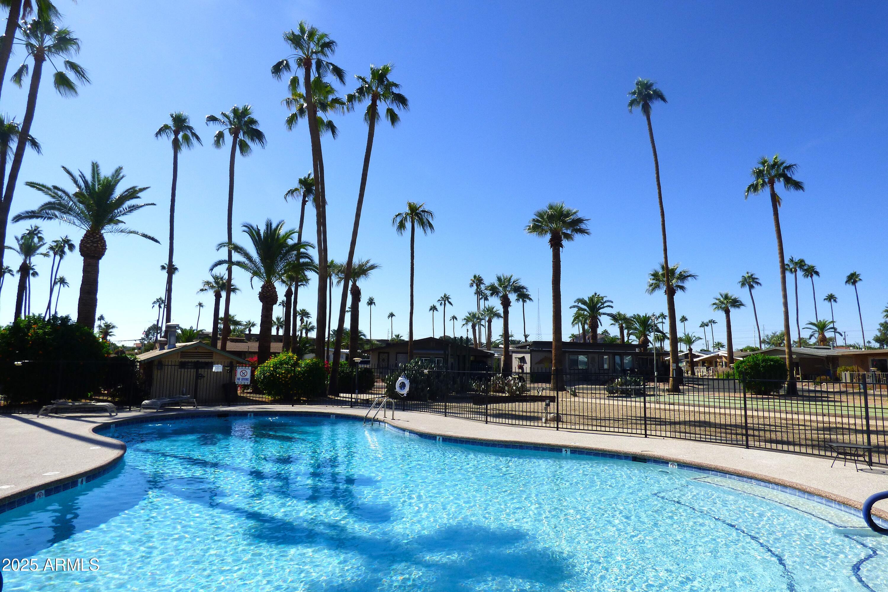 6700 East Thomas Road, Unit 34 Scottsdale, AZ 85251 - Photo 49 of 69 Pool - Tons of Palm Trees