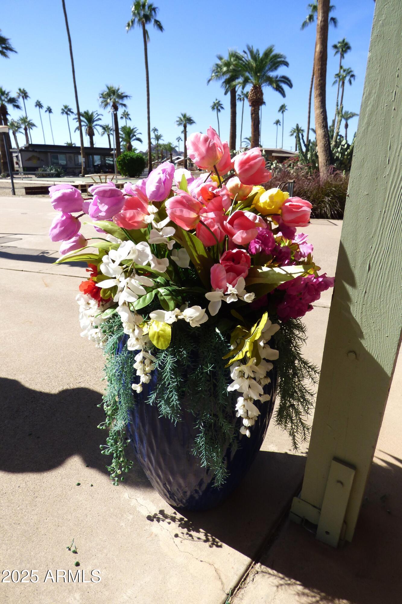 6700 East Thomas Road, Unit 34 Scottsdale, AZ 85251 - Photo 60 of 69 a view of a flower