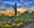 6700 East Thomas Road, Unit 34 Scottsdale, AZ 85251 - Photo 68 of 69 10 Min from Desert Botantical Gardens