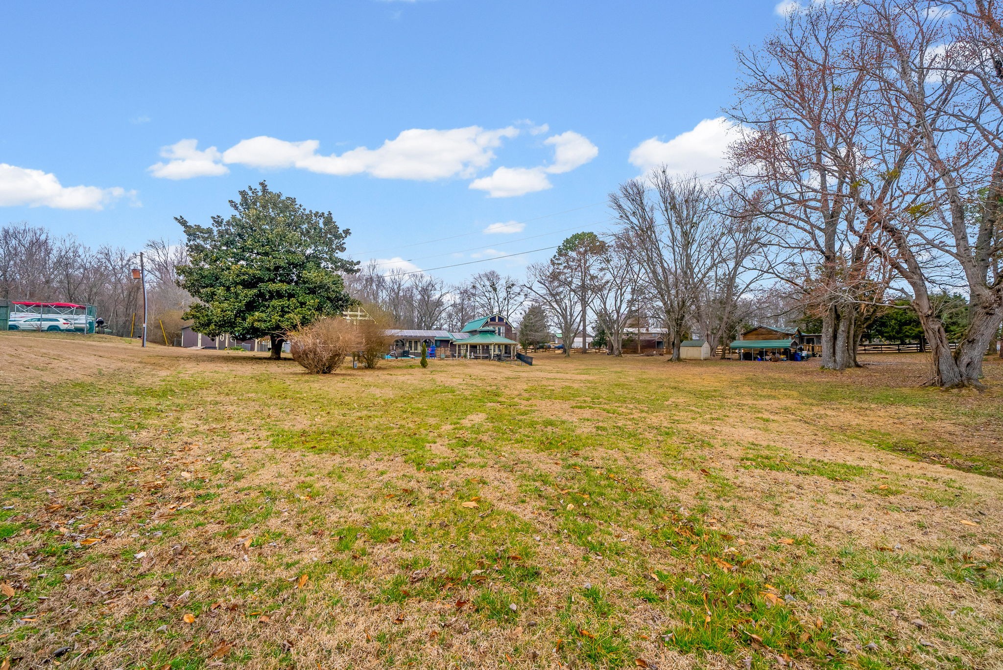 369 Holiday Acres Drive Springville, TN 38256 - Photo 91 of 100 a view of yard with swimming pool and trees