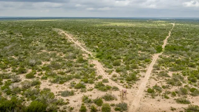 a backyard of a house with a yard