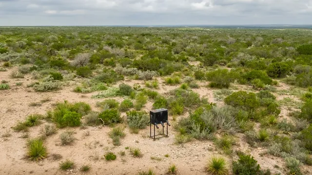 a view of a big yard