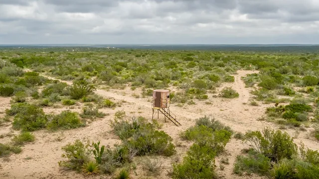 a view of a yard with a mountain