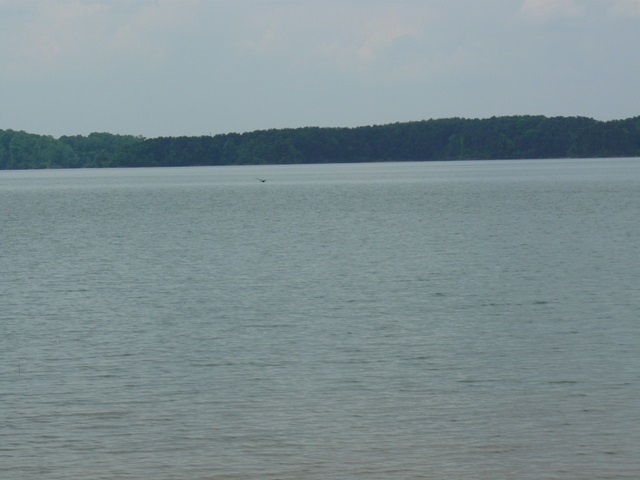 Lot 21 Jackson Road Anderson, SC 29626 - Photo 17 of 19