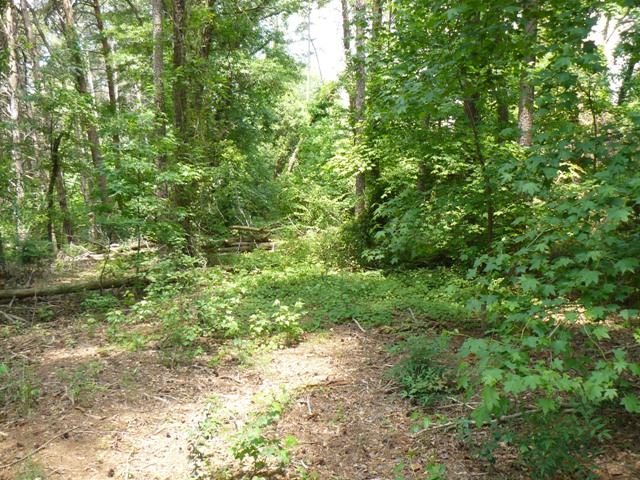 Lot 21 Jackson Road Anderson, SC 29626 - Photo 6 of 19
