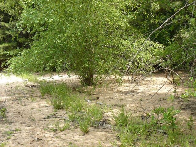 Lot 21 Jackson Road Anderson, SC 29626 - Photo 10 of 19