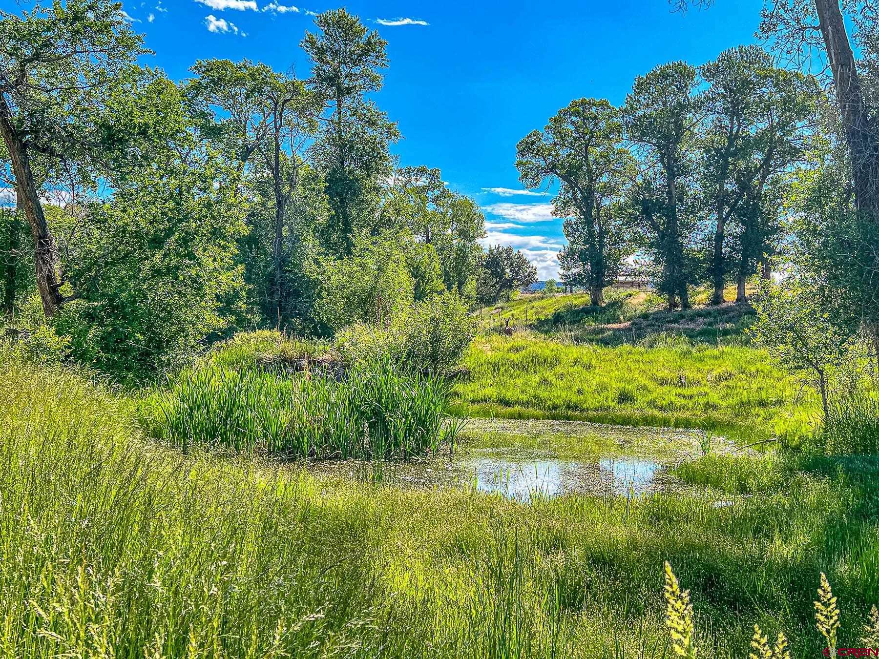 19550 2325th Road Cedaredge, CO 81413 - Photo 43 of 45 a view of a garden with a house