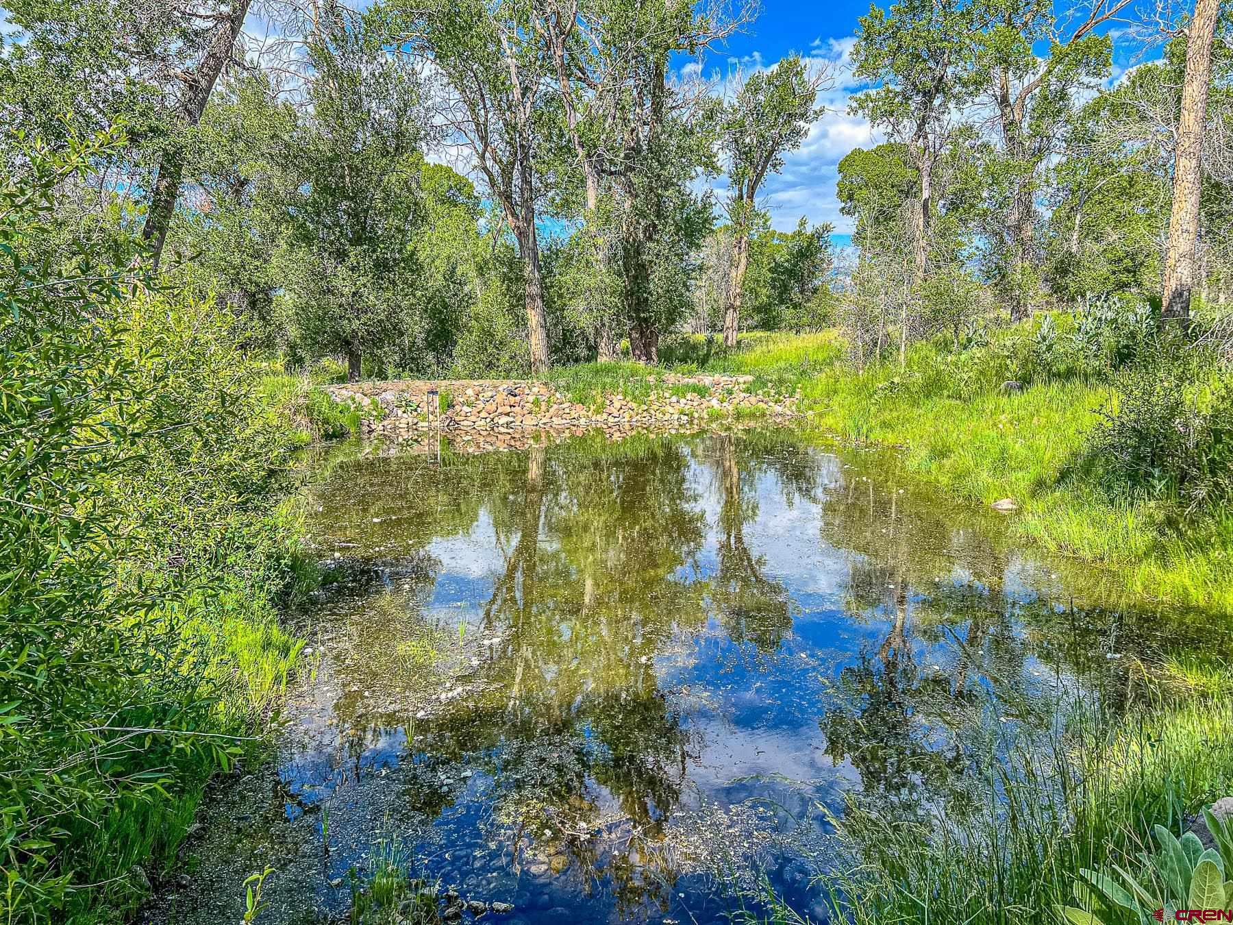 19550 2325th Road Cedaredge, CO 81413 - Photo 44 of 45 a view of a lake with large trees