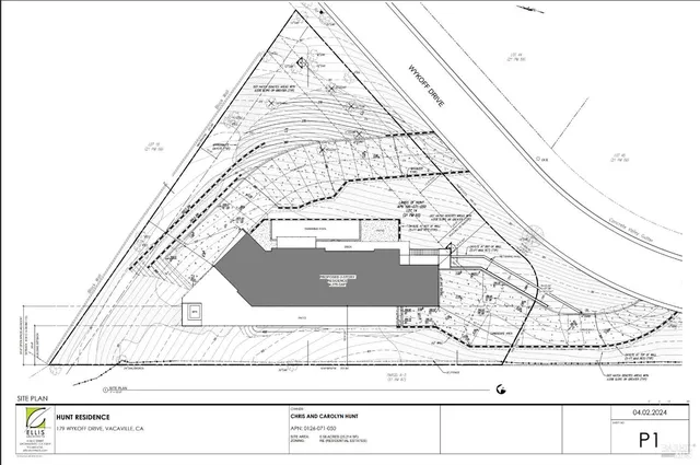 a view of a garden with plants