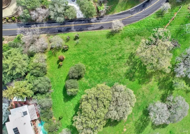 a view of a garden with a lake