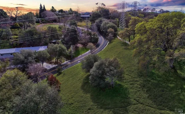 an aerial view of residential houses with outdoor space and trees