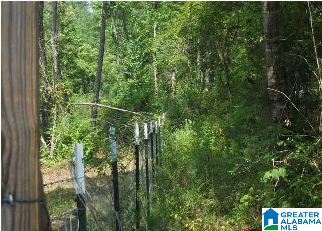 0 Collins Road Ohatchee, AL 36271 - Photo 3 of 6