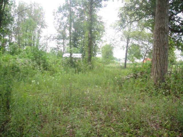 Tree Lane, Unit B Coldwater, MI 49036 - Photo 22 of 24 Additional Photo