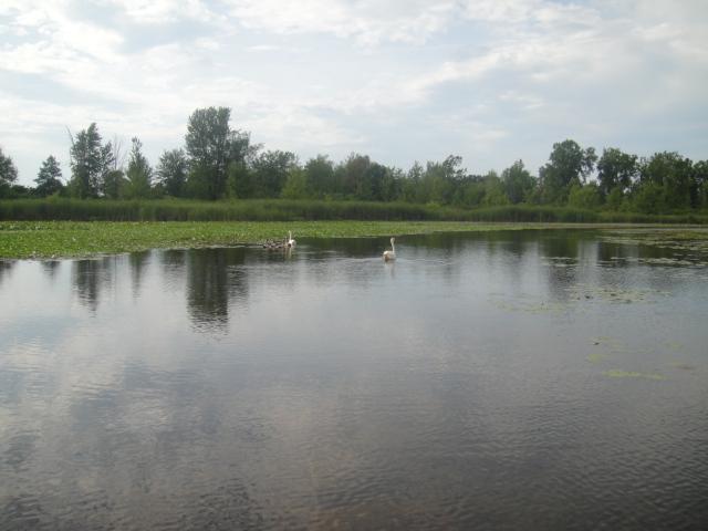 Tree Lane, Unit B Coldwater, MI 49036 - Photo 24 of 24 Additional Photo