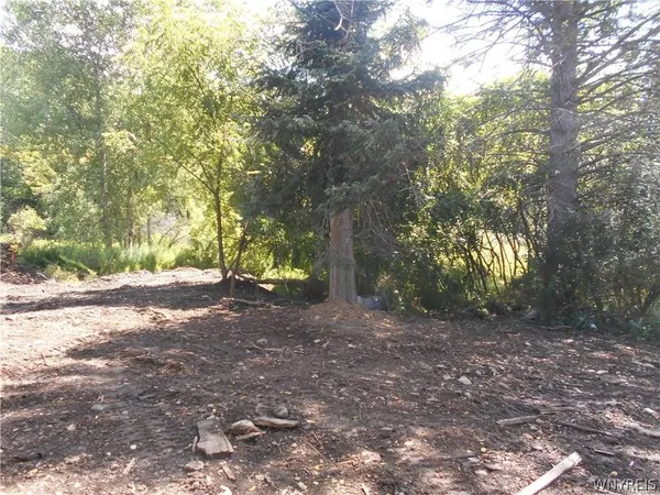 $49,000 | 10628 Highway 16, Yorkshire, NY 14042