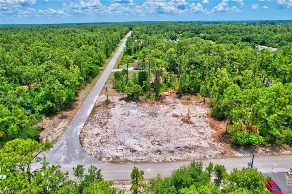 2123 Jefferson Avenue Alva, FL 33920 - Photo 14 of 20 a view of a yard with potted plants