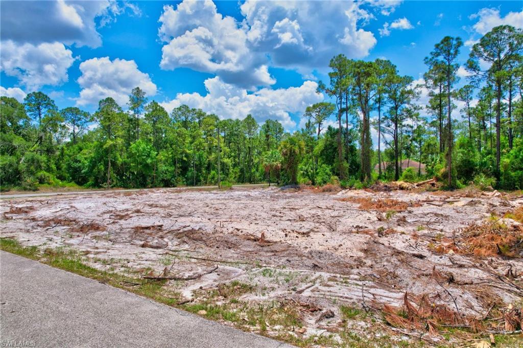 2123 Jefferson Avenue Alva, FL 33920 - Photo 2 of 20