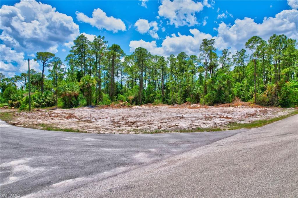 2123 Jefferson Avenue Alva, FL 33920 - Photo 4 of 20 a view of a yard with potted plants