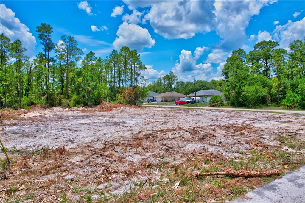 2123 Jefferson Avenue Alva, FL 33920 - Photo 5 of 20 a view of an outdoor space and yard