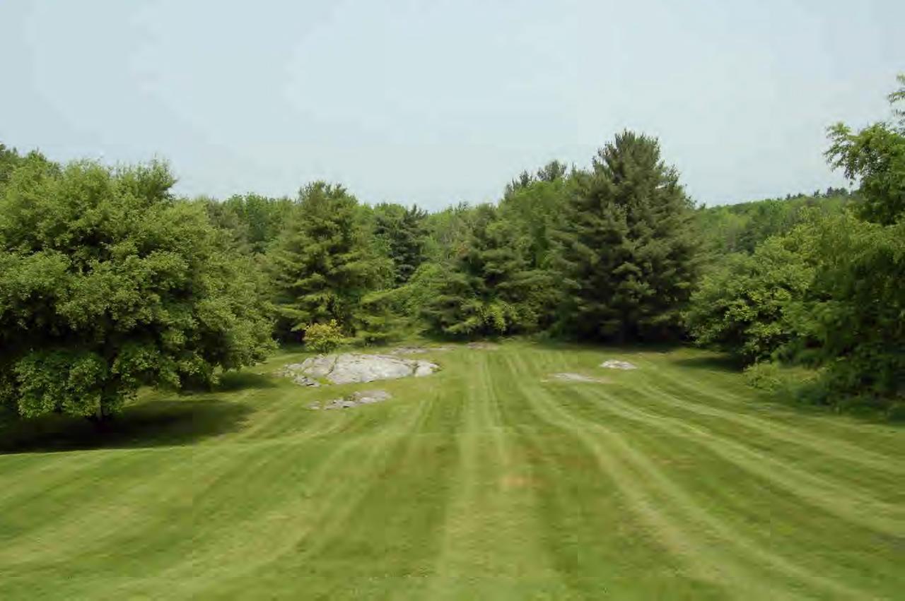 Sloping yard