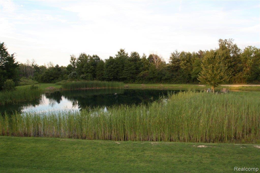 8280 Logana Road Avoca, MI 48006 - Photo 32 of 37 8280 Logana perch pond.JPG