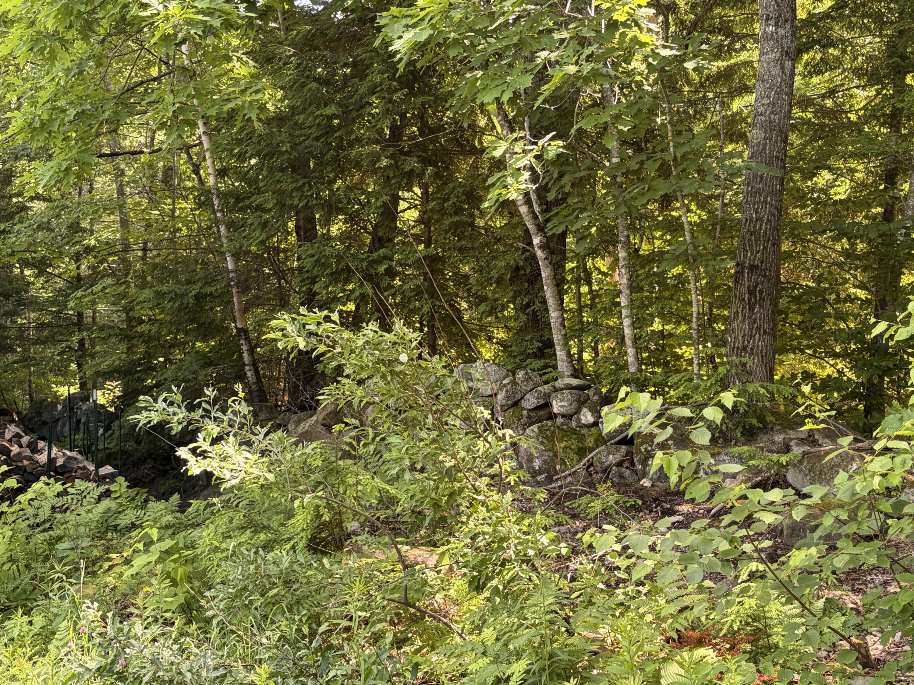 163 Ingalls Road Bridgton, ME 04009 - Photo 9 of 26