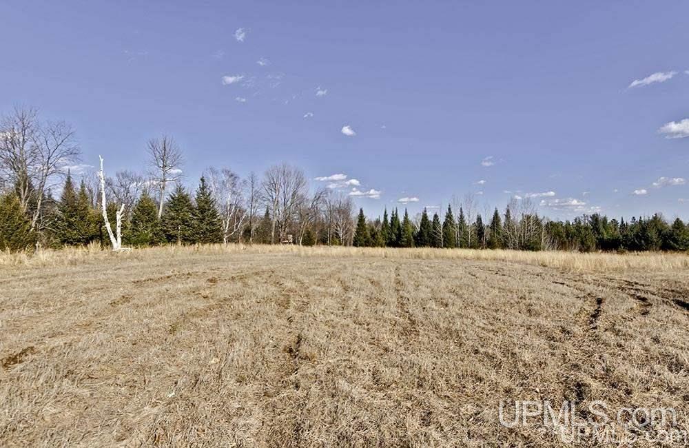 W8654 Co Road Stephenson, MI 49887 - Photo 9 of 14 Gallery Image 9