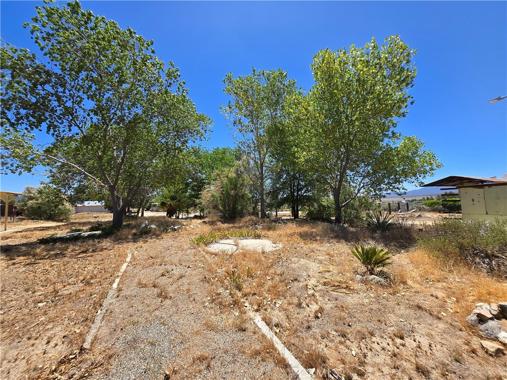 38800 Bahrman Road Anza, CA 92539 - Photo 4 of 23