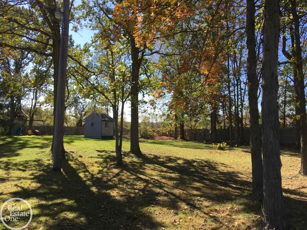 5541 Wildcat Road North Street, MI 48049 - Photo 10 of 62