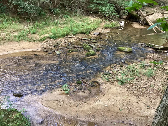 a view of a yard with plants and trees