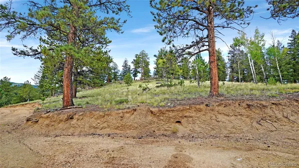 $650,000 | 67 Hold Up Street, Bailey, CO 80421